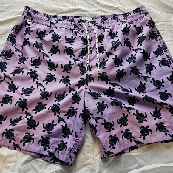 Size L Spicy Tuna Purple and Indigo Turtle Pattern Swim Shorts - Picture 2 of 6